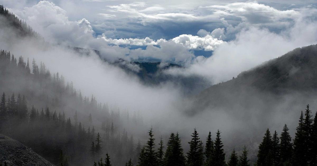 Computer Vision Services Australia — Applications Across Industries